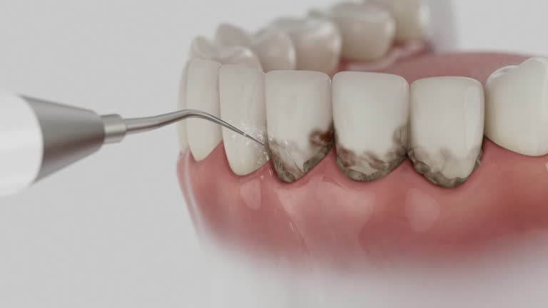 Reliable Dental contractor in Travilah, MD by Dentist Open Now